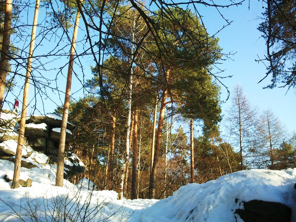 Среди снега и скал