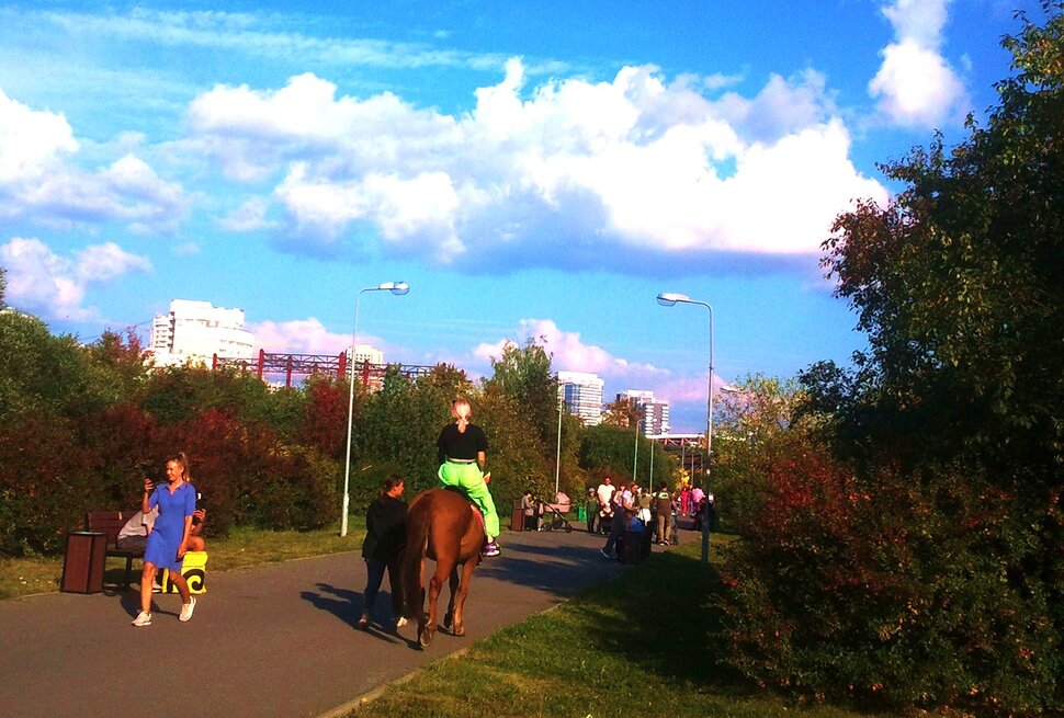 В парке в сентябре