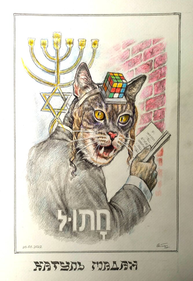 Котик из Израиля. Хатуль мадан