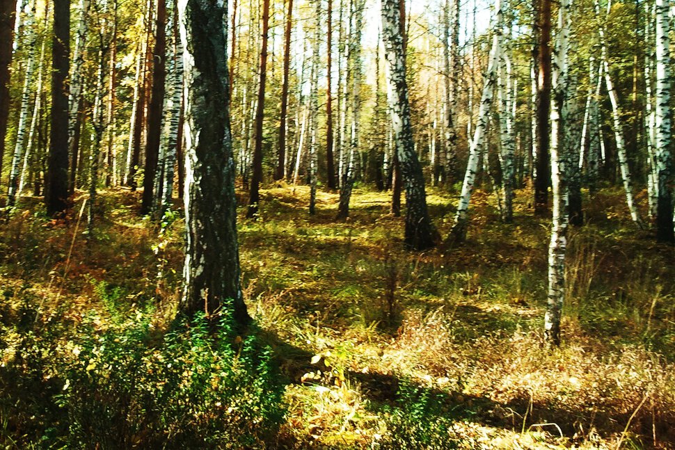 Осенний солнечный денек