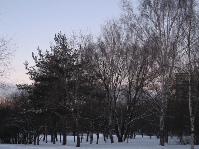 Парк в Головинском районе