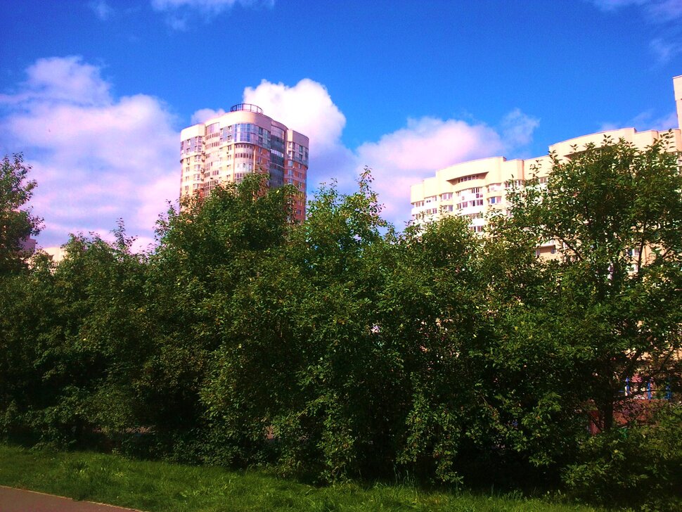 В парке летом