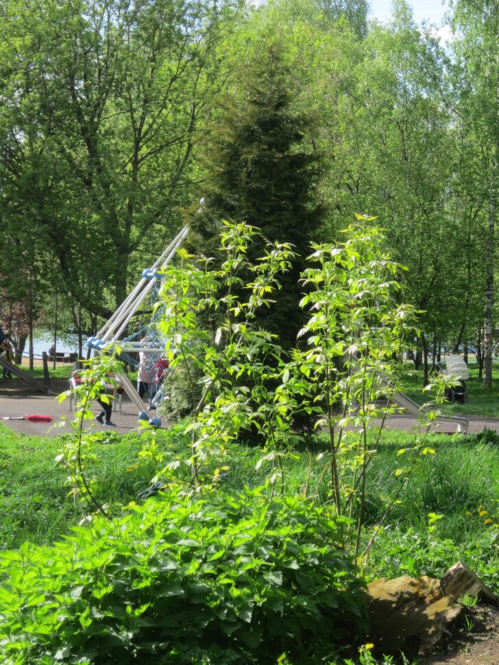 Михалково. Весна