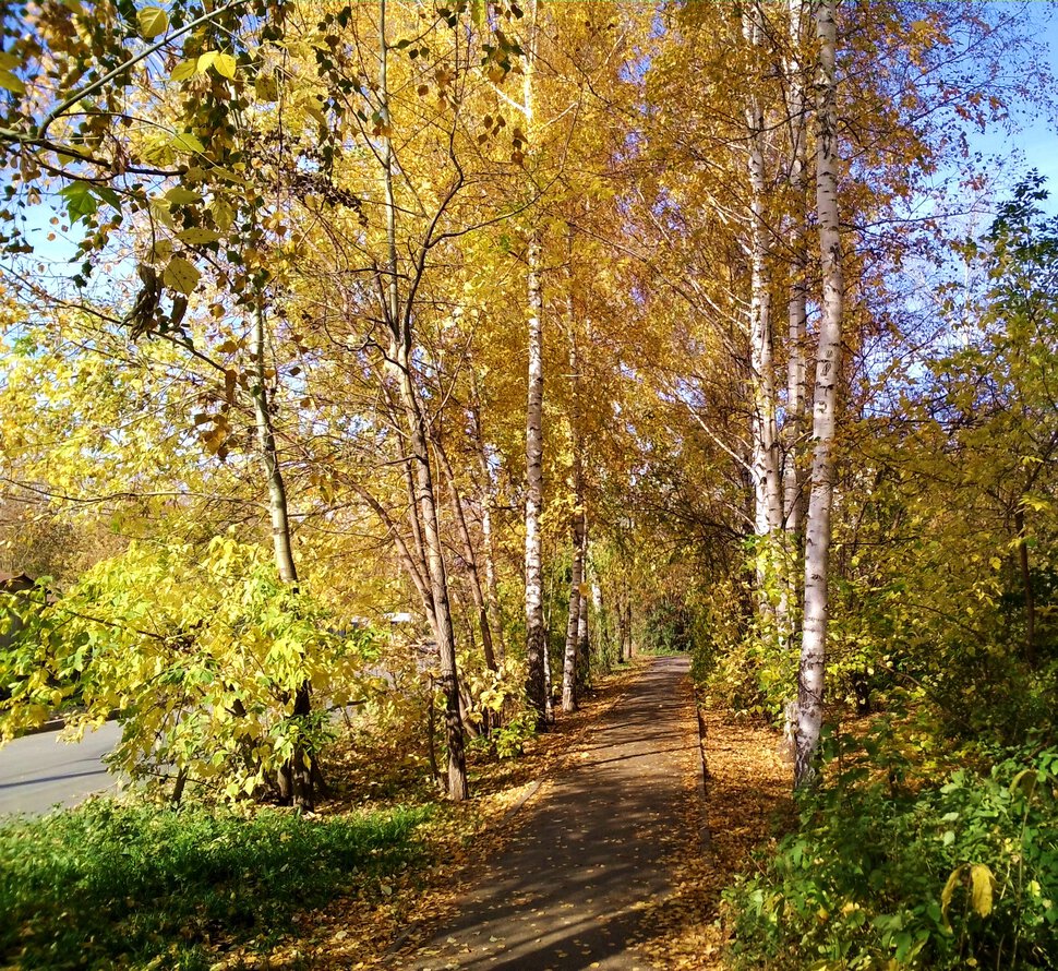 На улице Чайковского