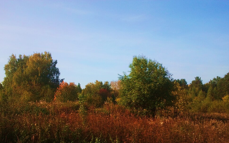 Сентябрь