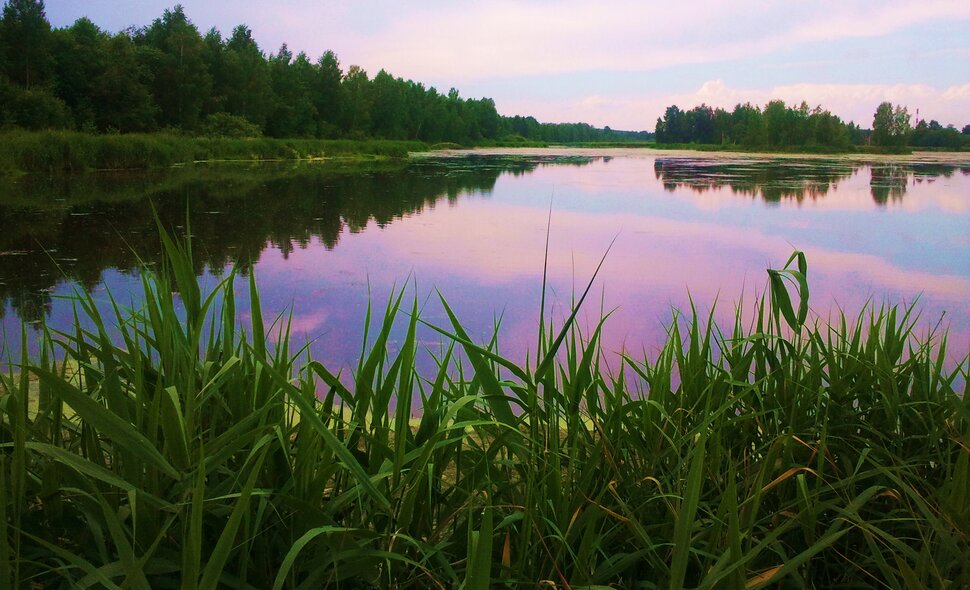 У реки