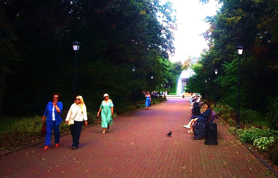 В дендрарии