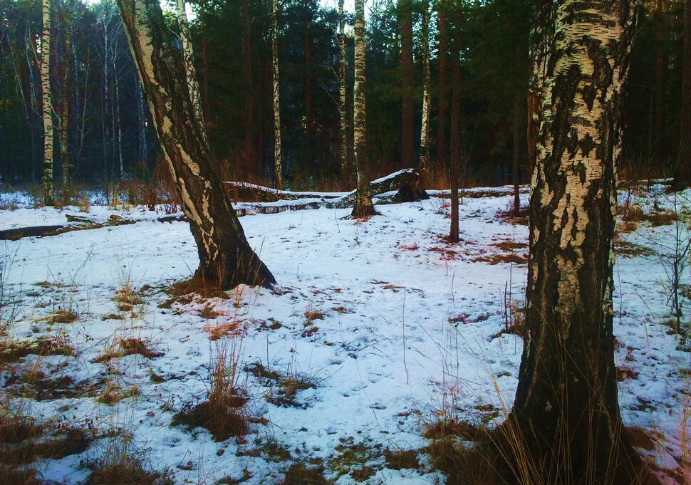 Ноябрь