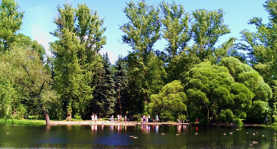 У озера в парке