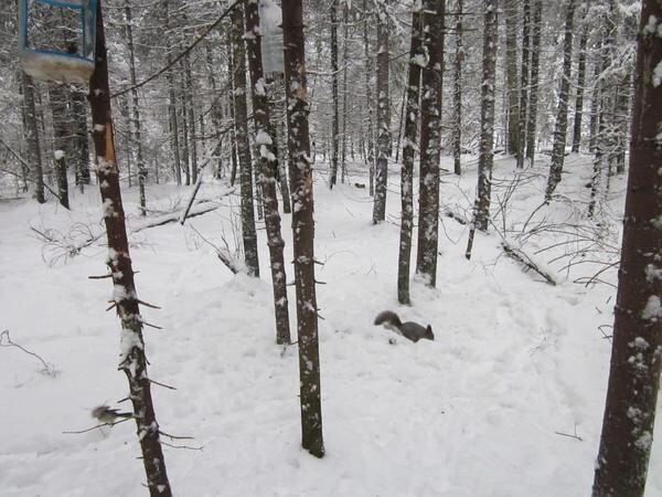 Урал. Окрестности Екатеринбурга