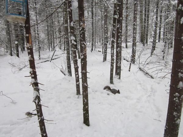 Урал. Окрестности Екатеринбурга