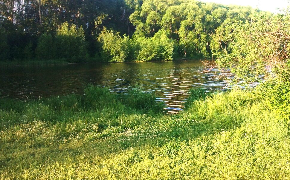 В июне у реки
