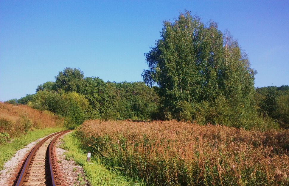 В леса по железной дороге