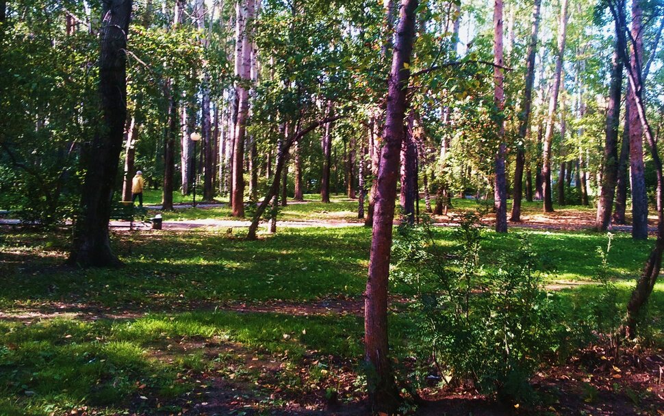 В осеннем лесочке