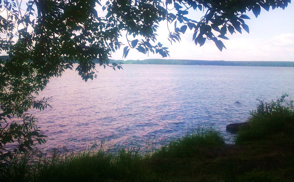 У озера