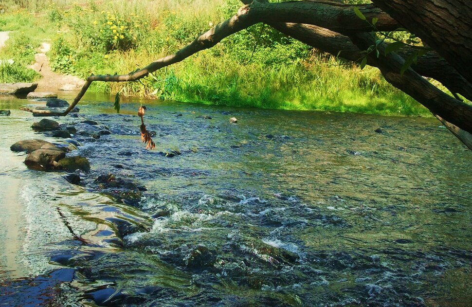 У реки