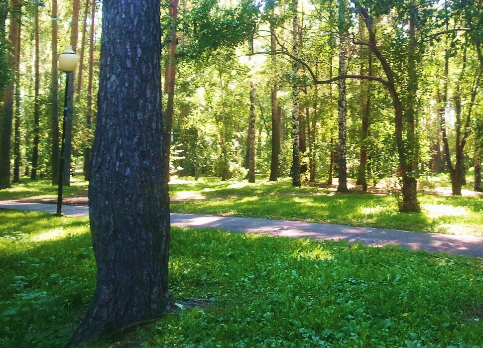 В осеннем лесочке