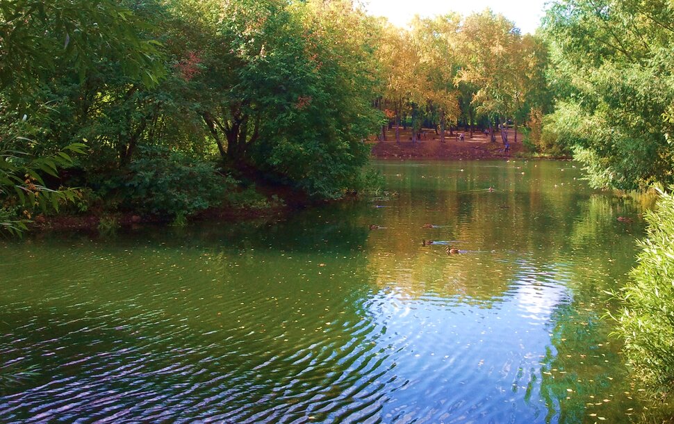 Осень