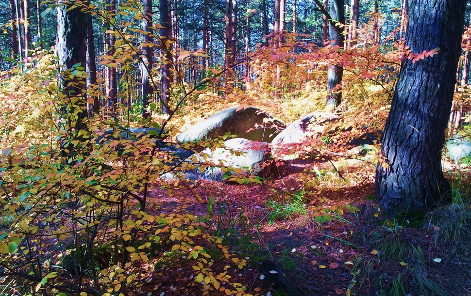 По горам и осенним лесам
