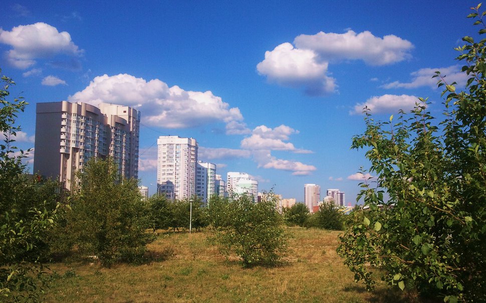 В городском парке