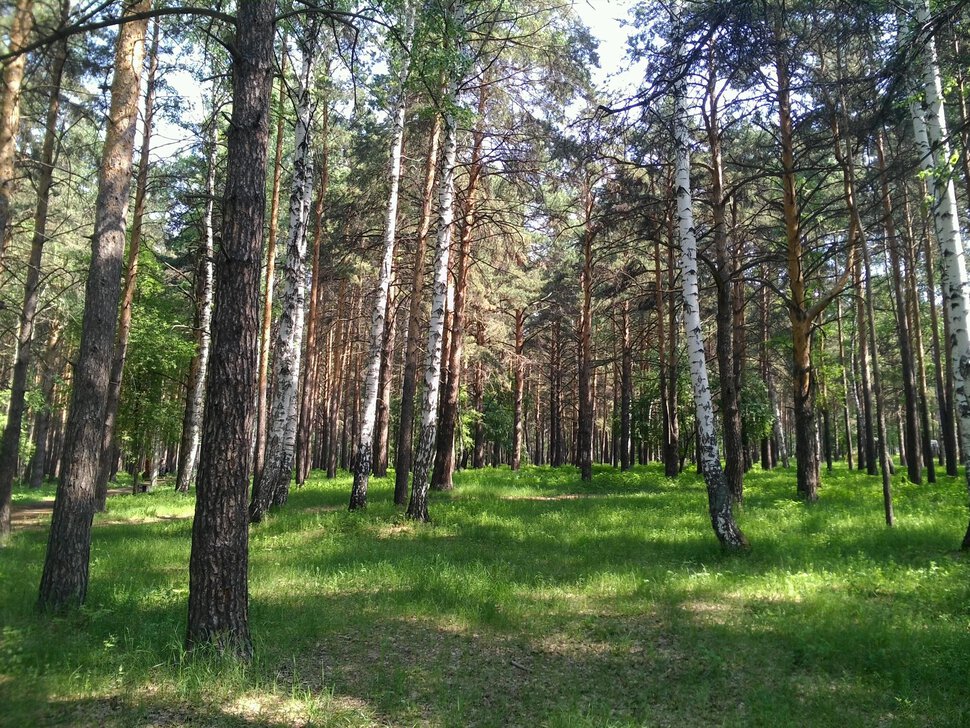 В парке завода Уралхиммаш