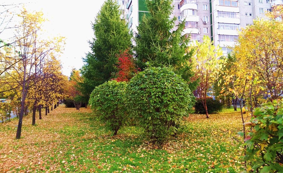 Сентябрь