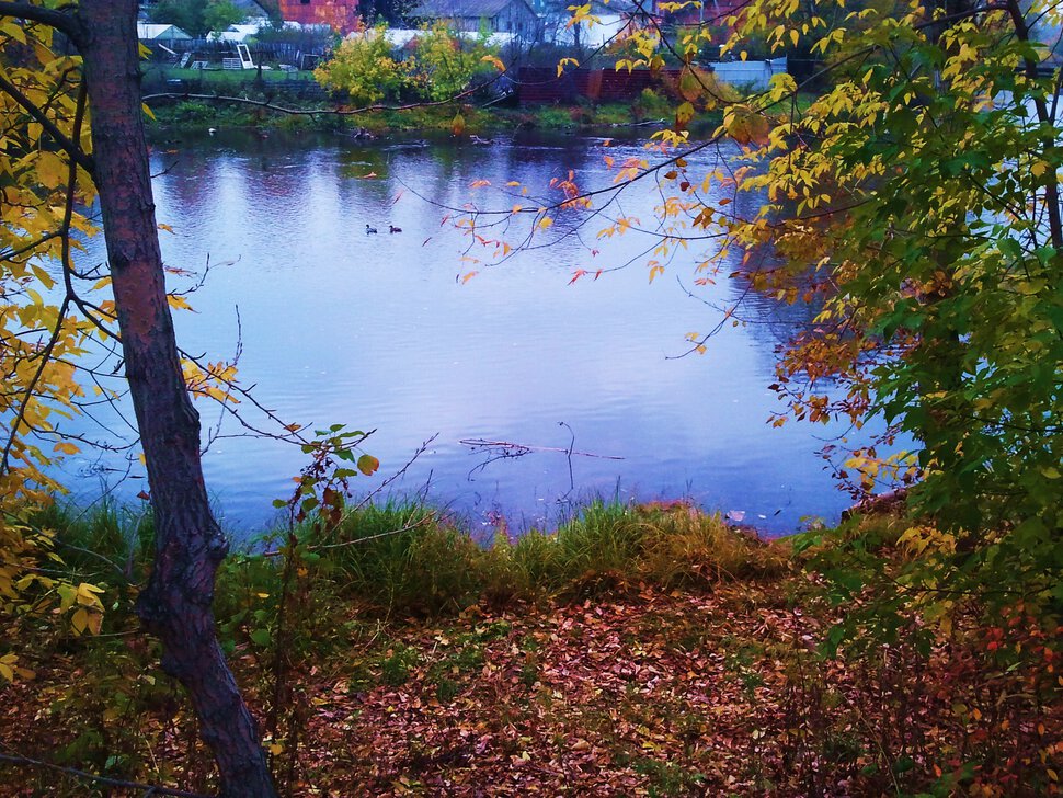 Октябрь и река