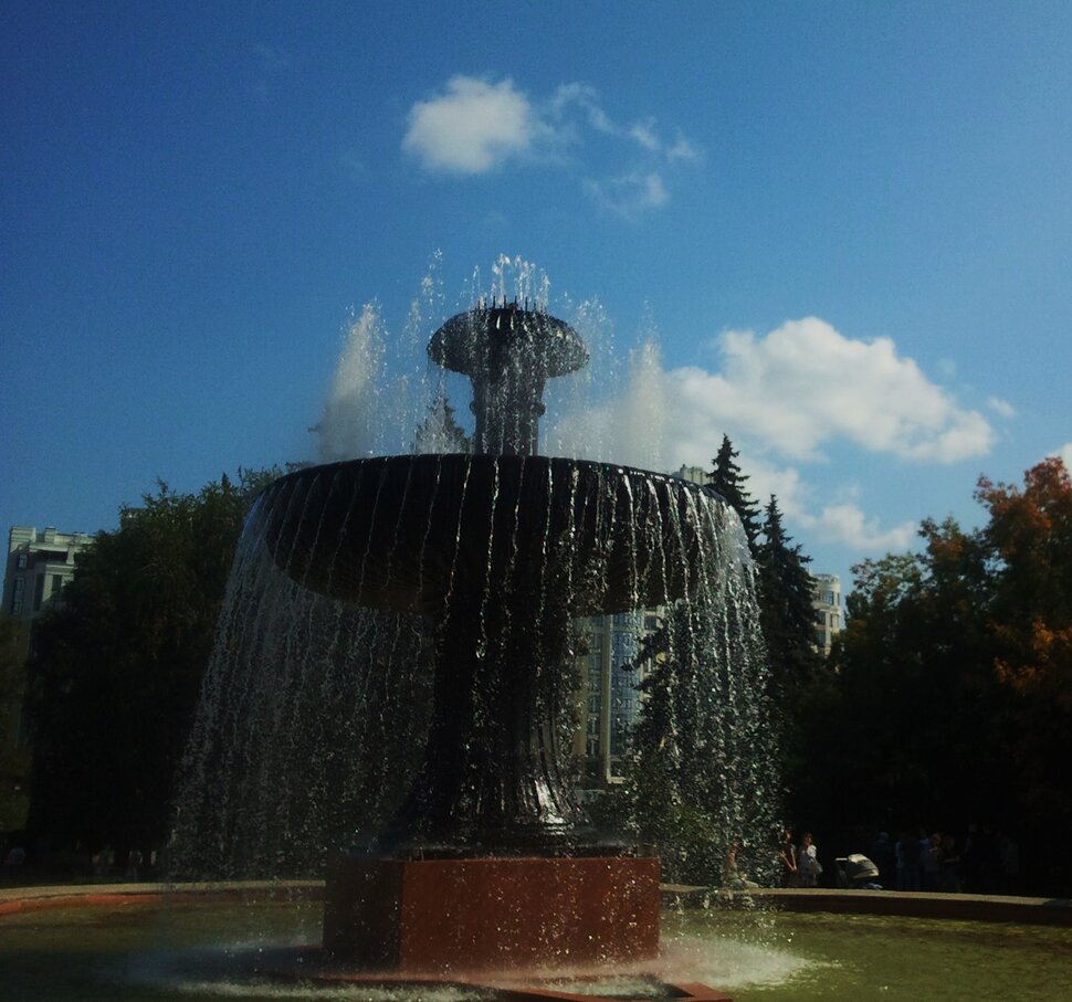 В дендрарии