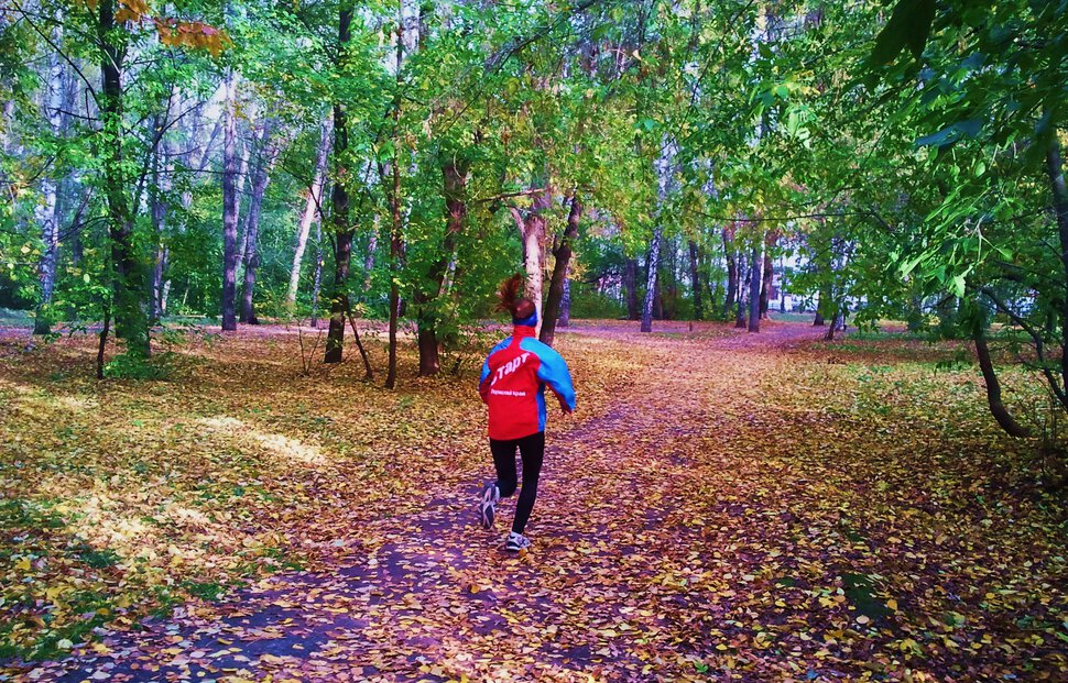 Пробежка в осень