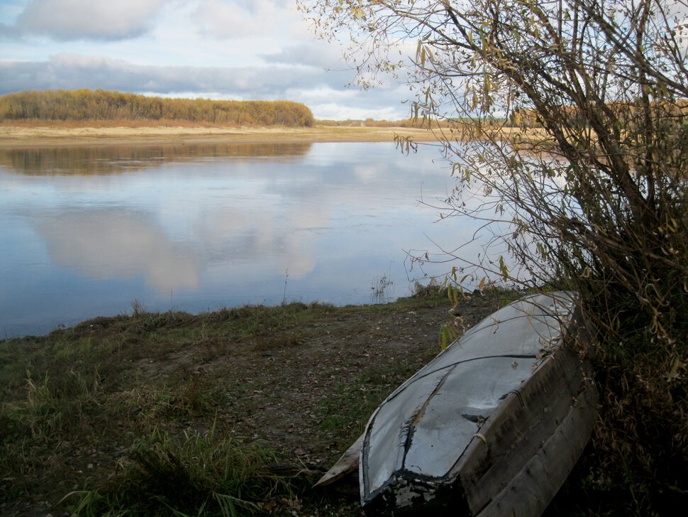 У городской реки