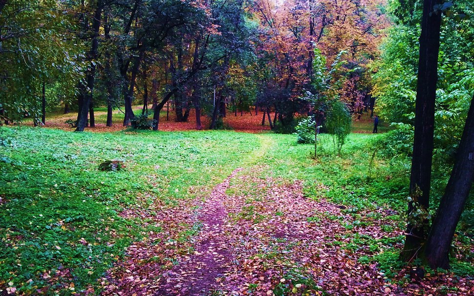 В осеннем парке