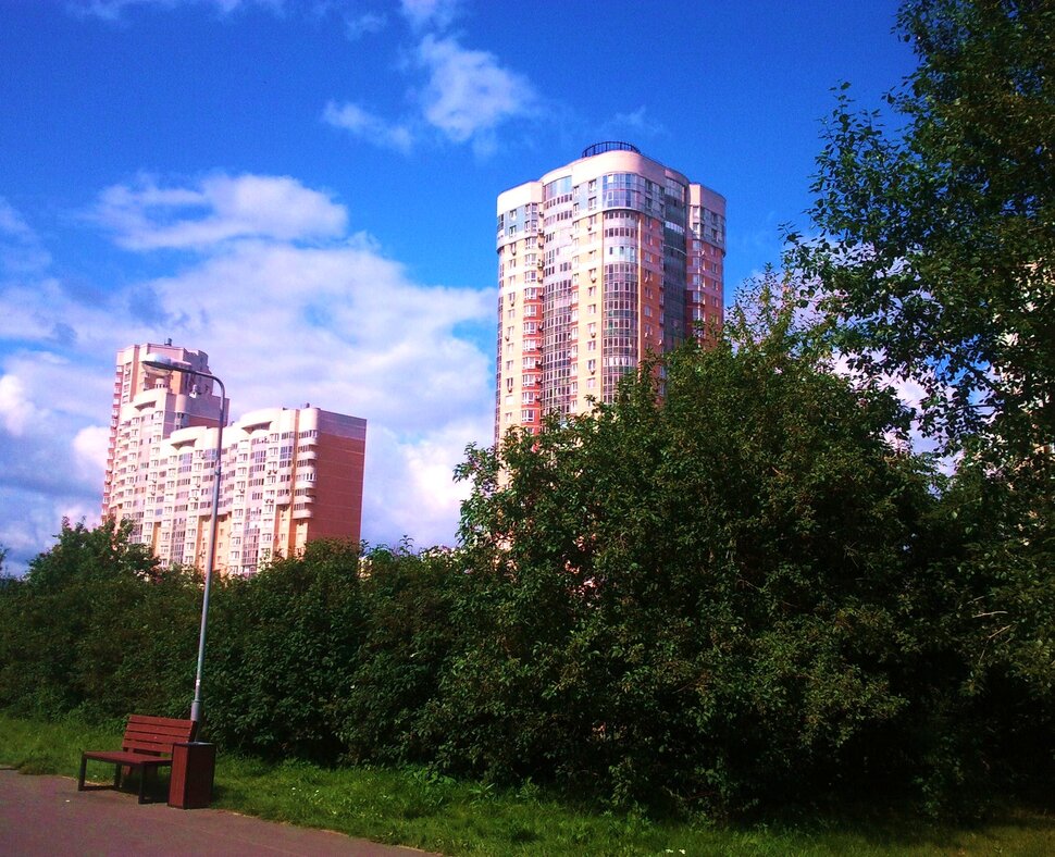 В парке летом
