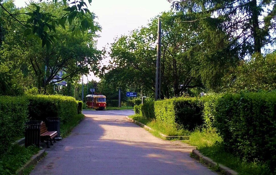 В сквере