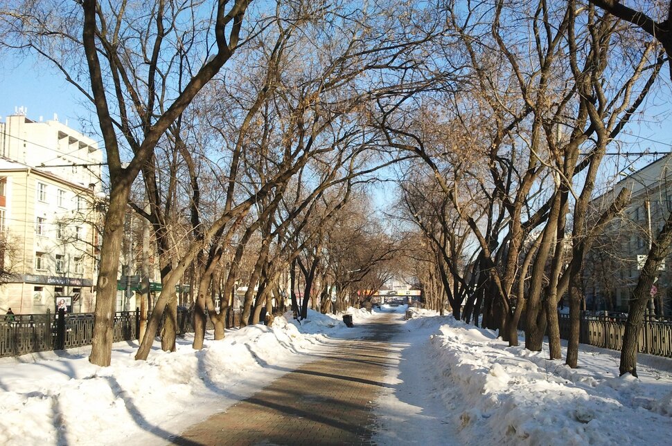 По главному проспекту