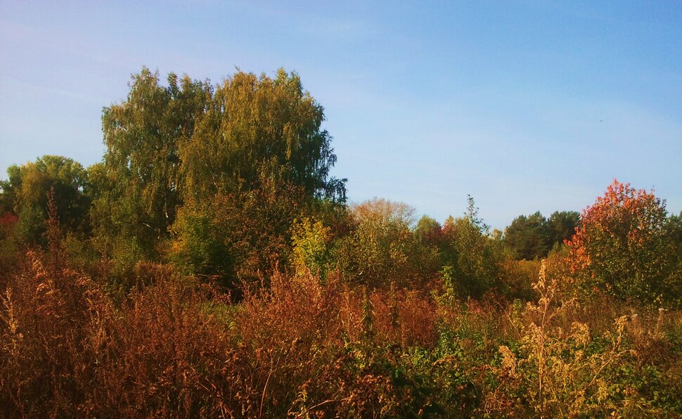 Сентябрь