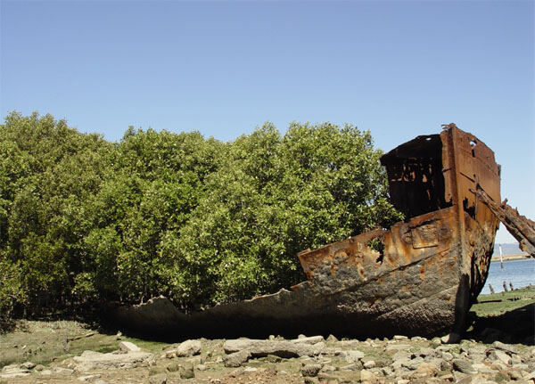 Ships graveyard