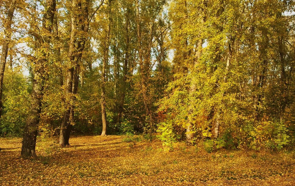 Вечерком в сентябре