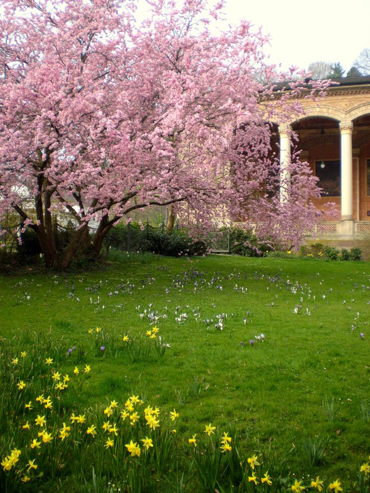 Весна в Баден-Бадене