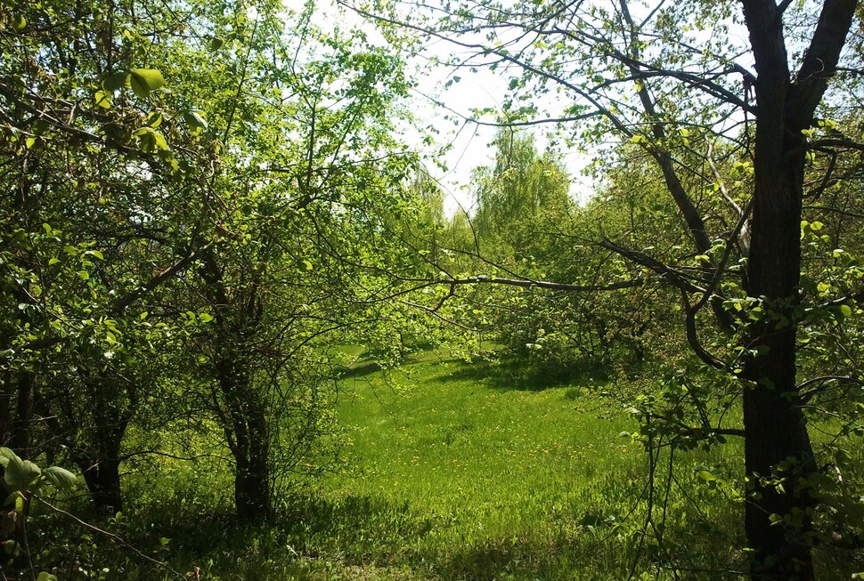 Весна