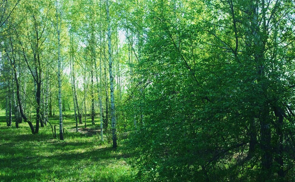 Весна