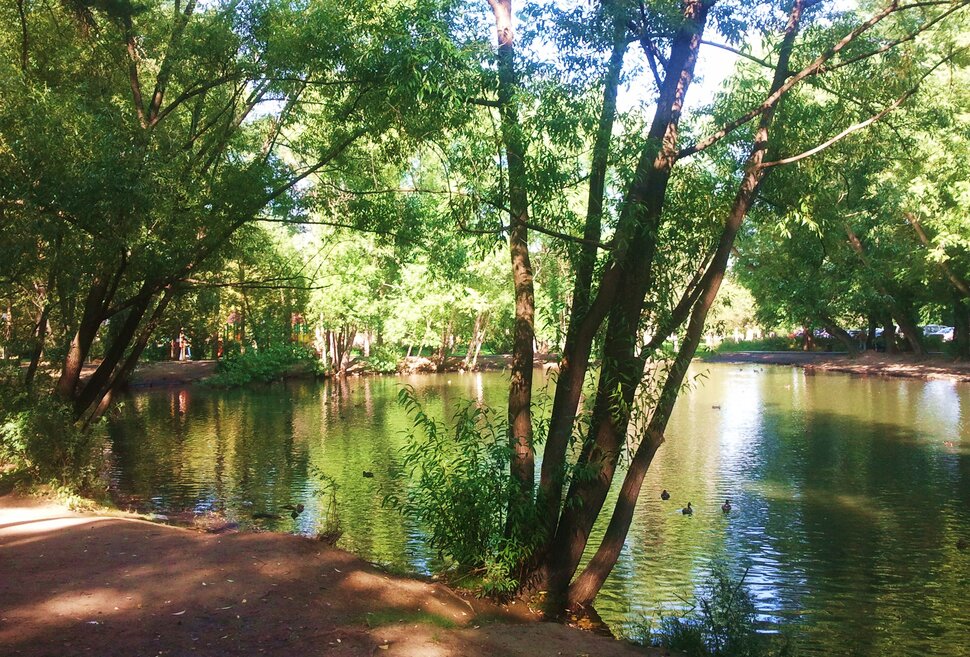 У озерца