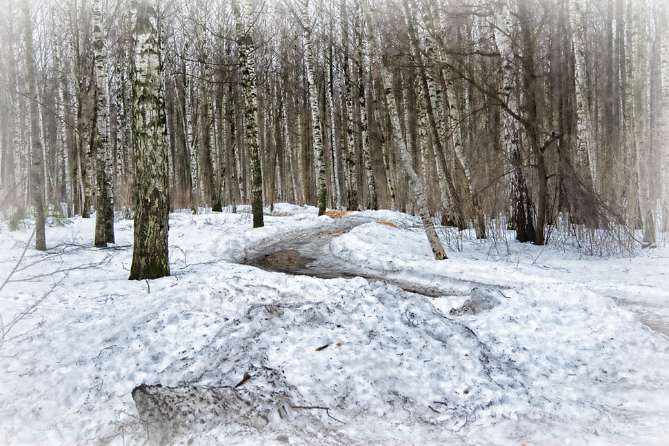 Долгая дорога весны