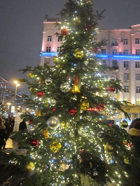 В самом центре Москвы ёлка светит в ночи
