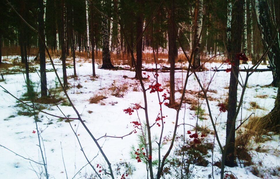 Глубокая осень