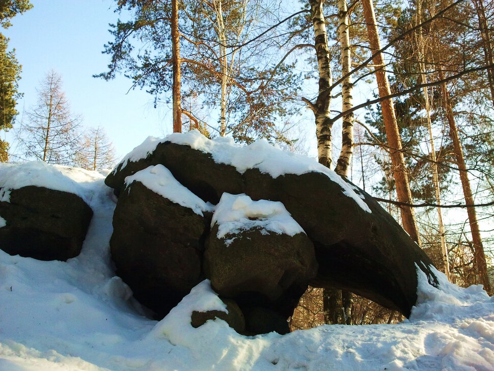 У заснеженных лесных камушков