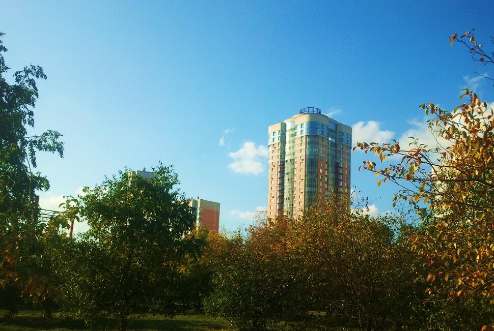 В парке