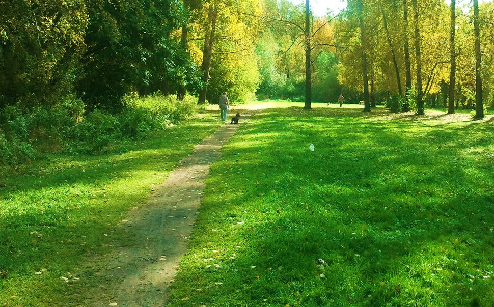 Осень