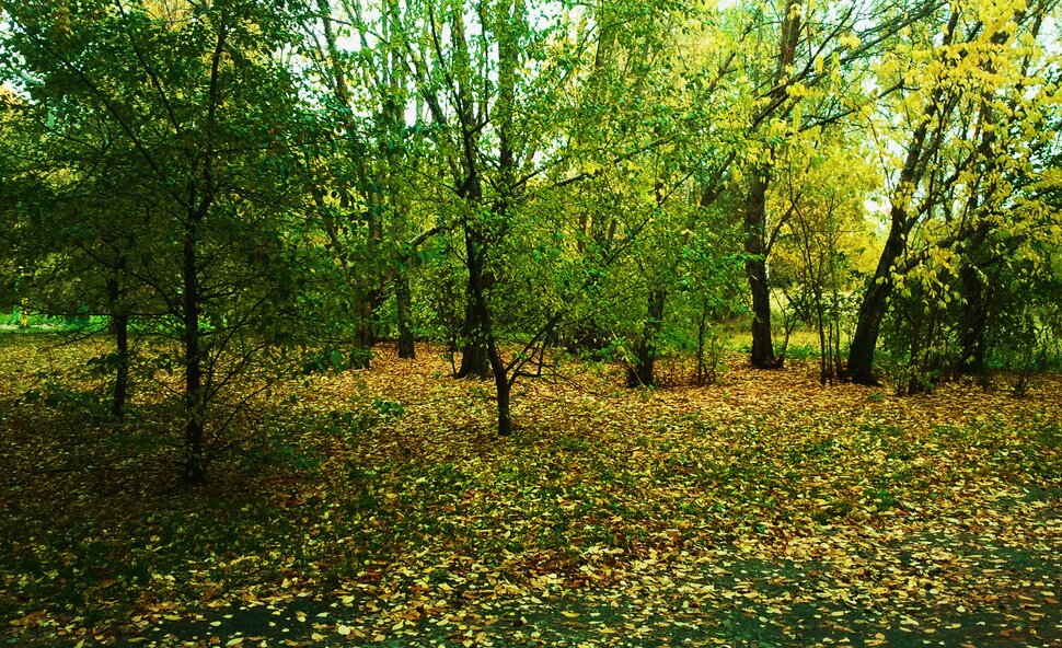 В осеннем полумраке