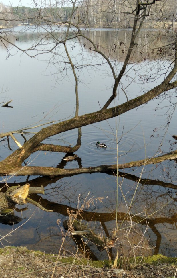 У воды