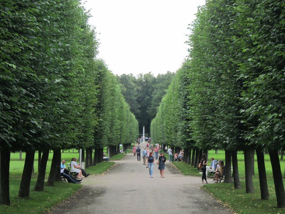 Аллея в Архангельском